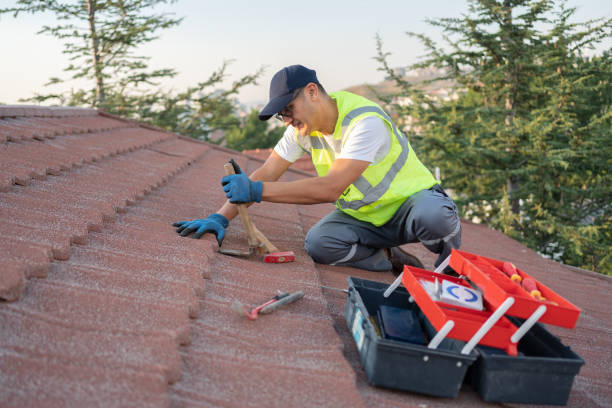 Roof Waterproofing Services in Rosebud, SD